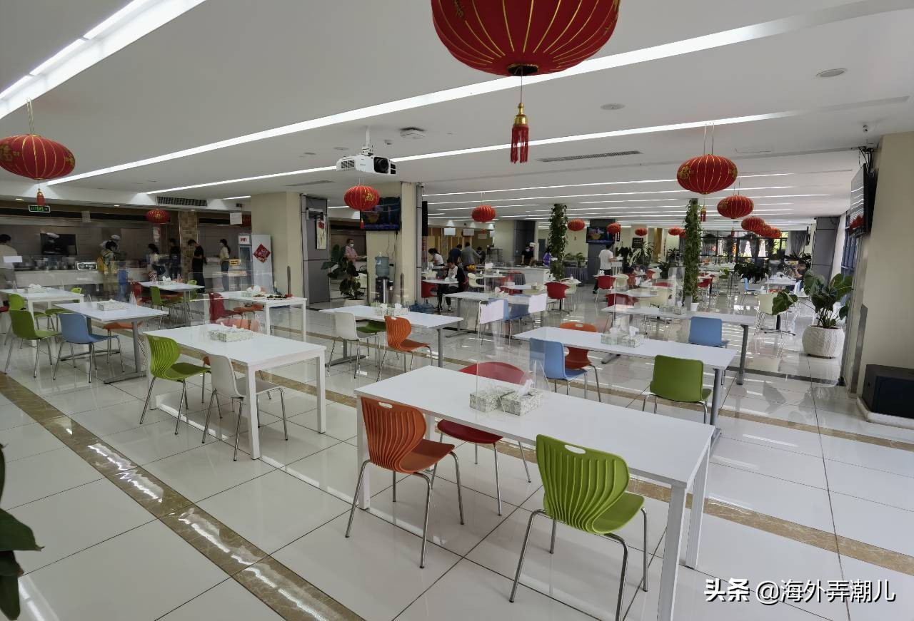 肯尼亚动物大迁徙泪流满面,肯尼亚动物大迁徙深度游