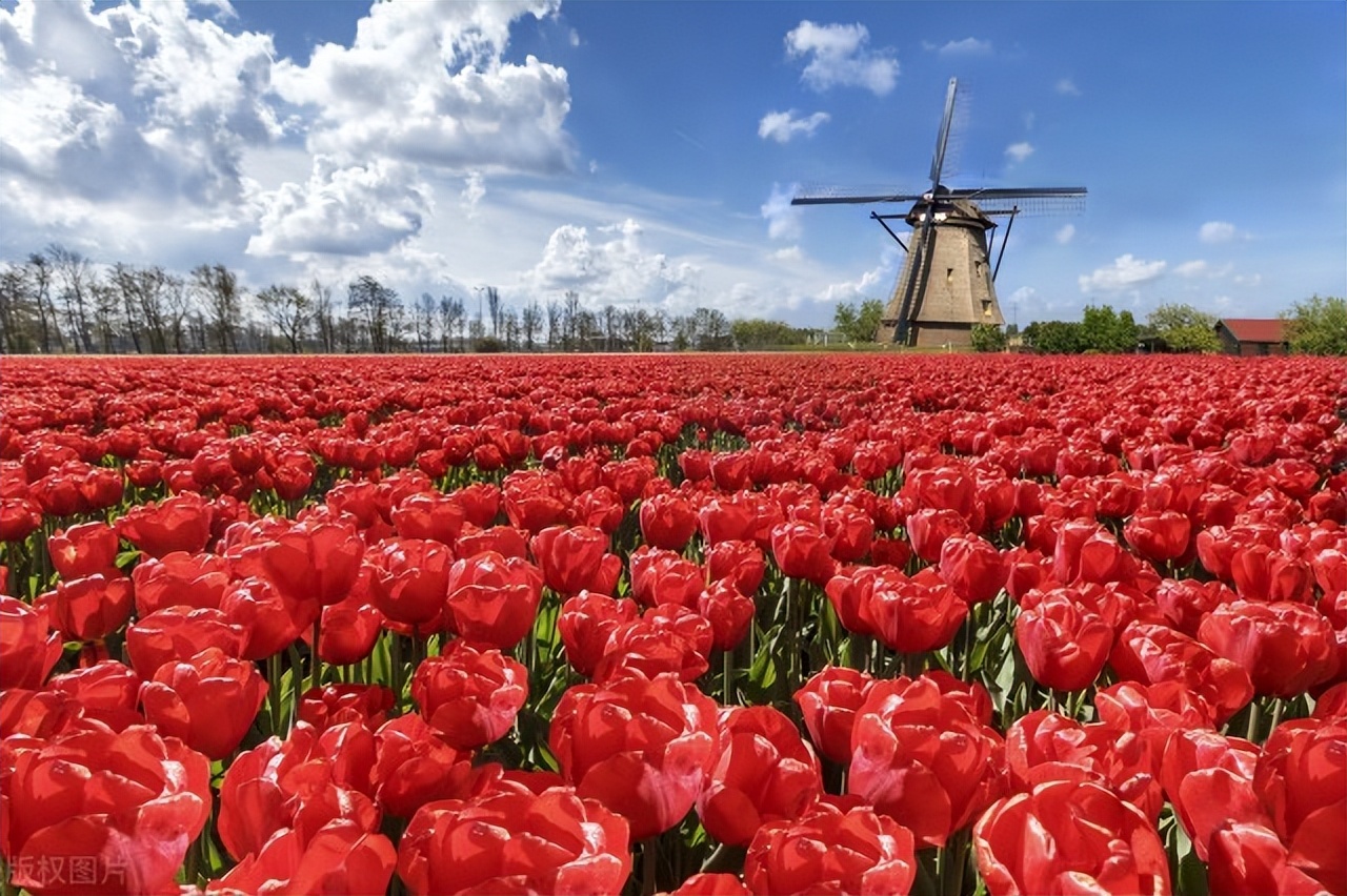 约会的禁忌荷兰,荷兰住宿禁忌