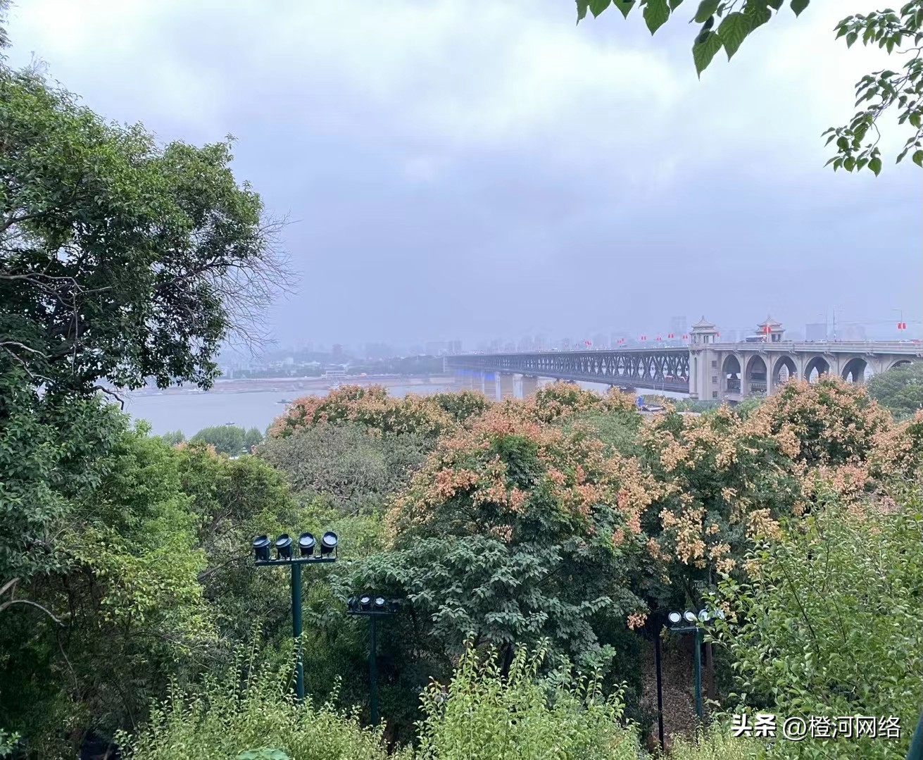 橙河网络靠谱吗,橙河网络