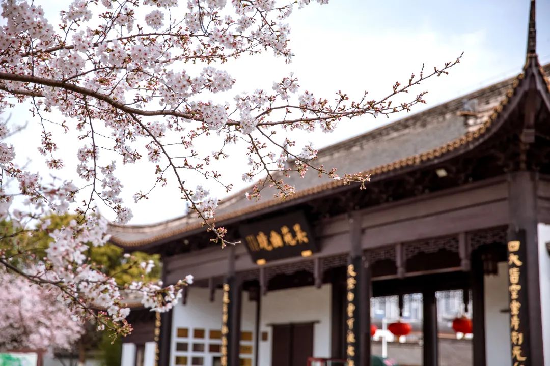 快上车app官网,快上车在哪设置