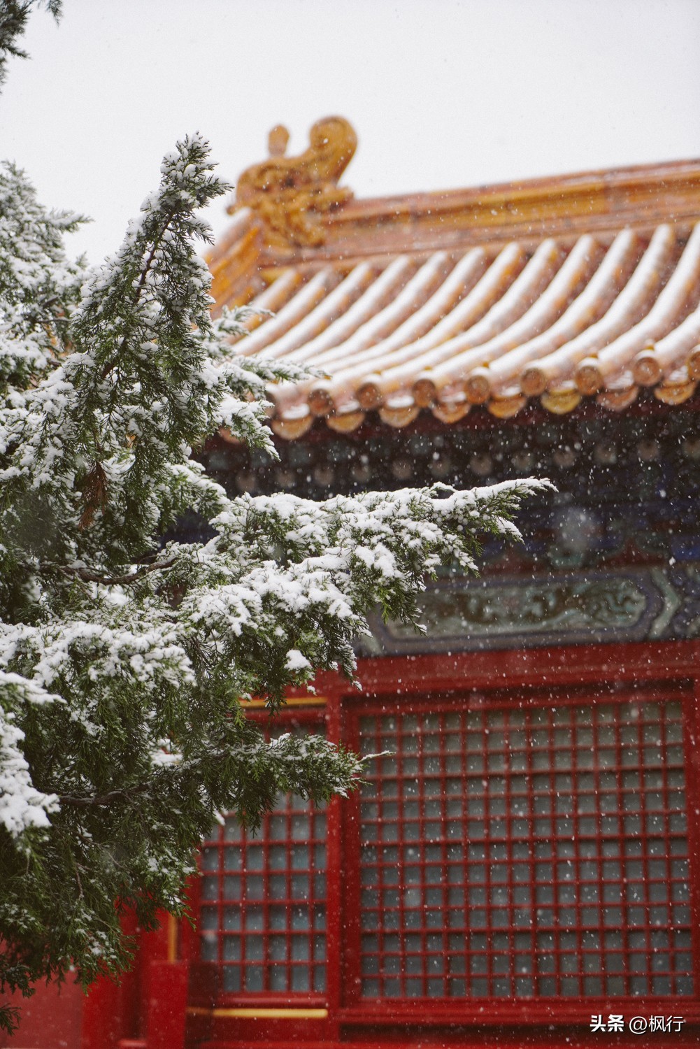 故宫开启雪景模式北京迎今冬初雪,北京下雪去哪里看故宫最好看