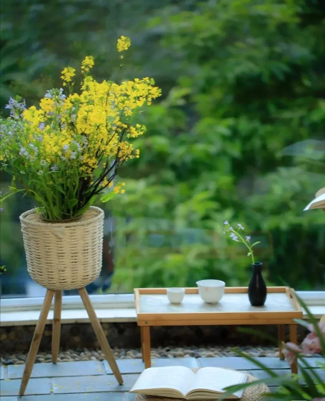 2023高考语文基础知识会考吗,2023高考语文基础题