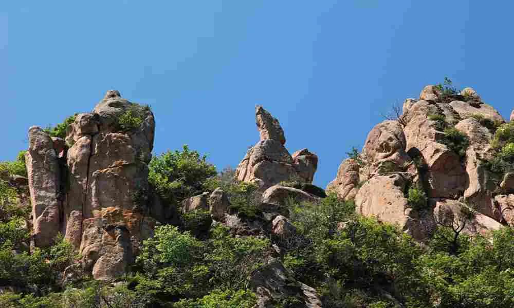 大连市内带孩子春游好去处,大连适合小学生游玩的地方