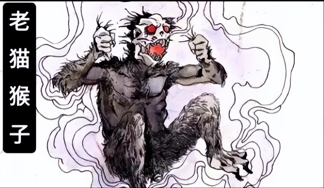 国人害怕的老猫猴子，居然是从非洲来的？黑毛白脸的怪物是什么？