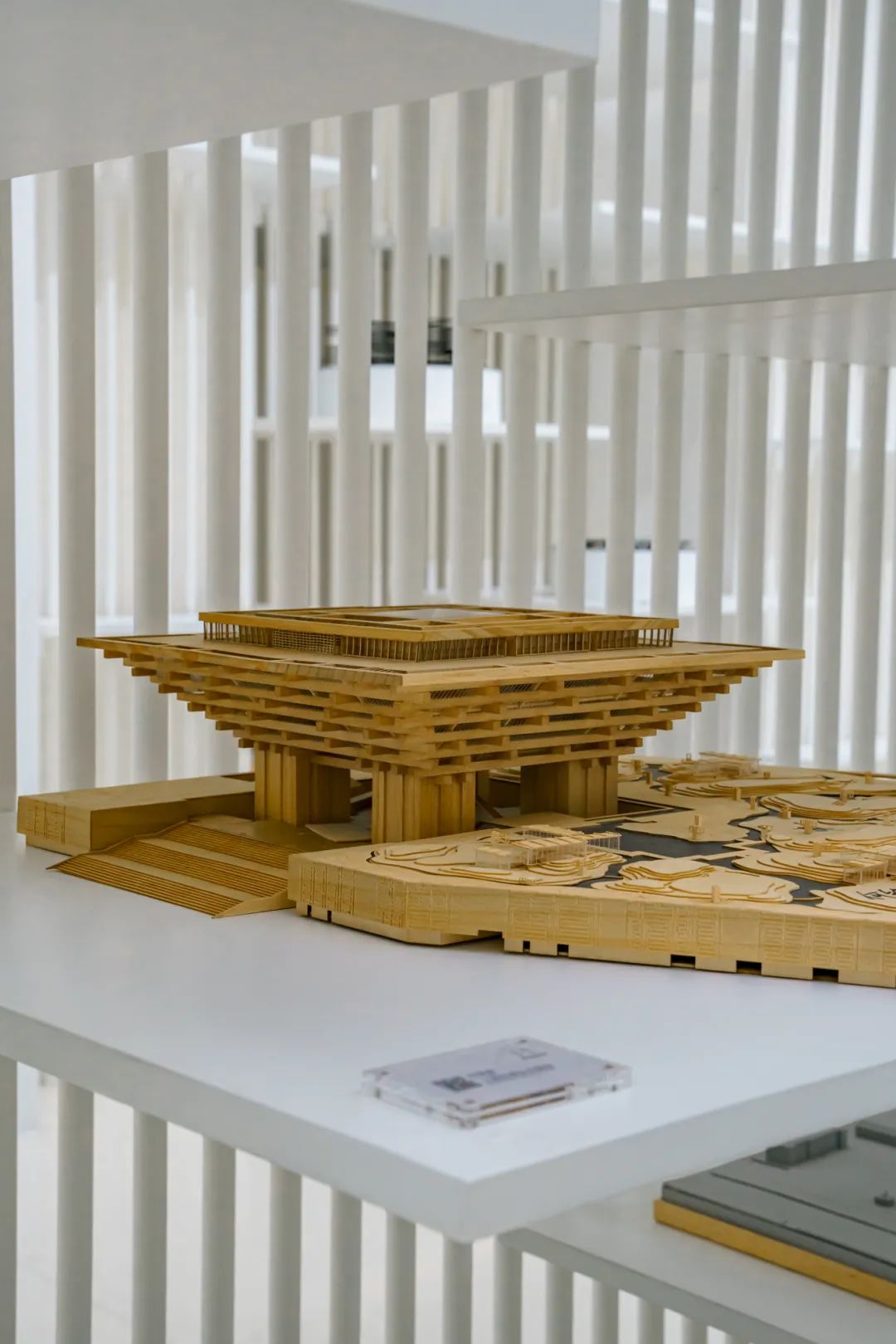 魔都最强博物馆,魔都博物馆之旅