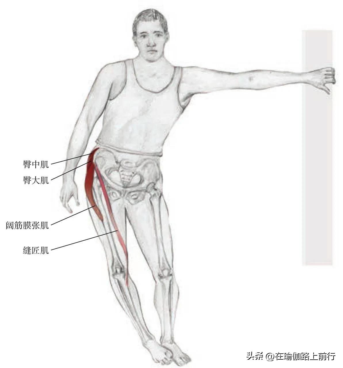 大腿外展肌群怎么拉伸,侧身外展肌拉伸