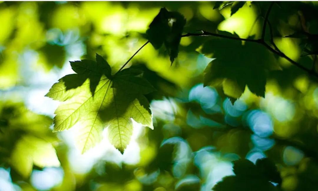 三体动画为什么会被吐槽,三体动画的正确打开方式