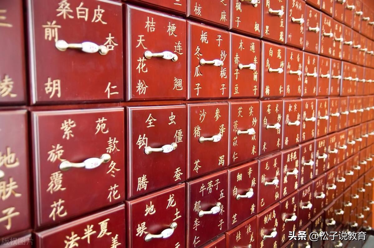 中国十大最好中医药大学,中国最强的几所中医药大学