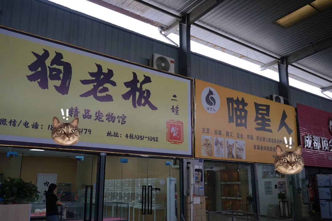 三联鸡鸭市场在哪里,三联市场家禽