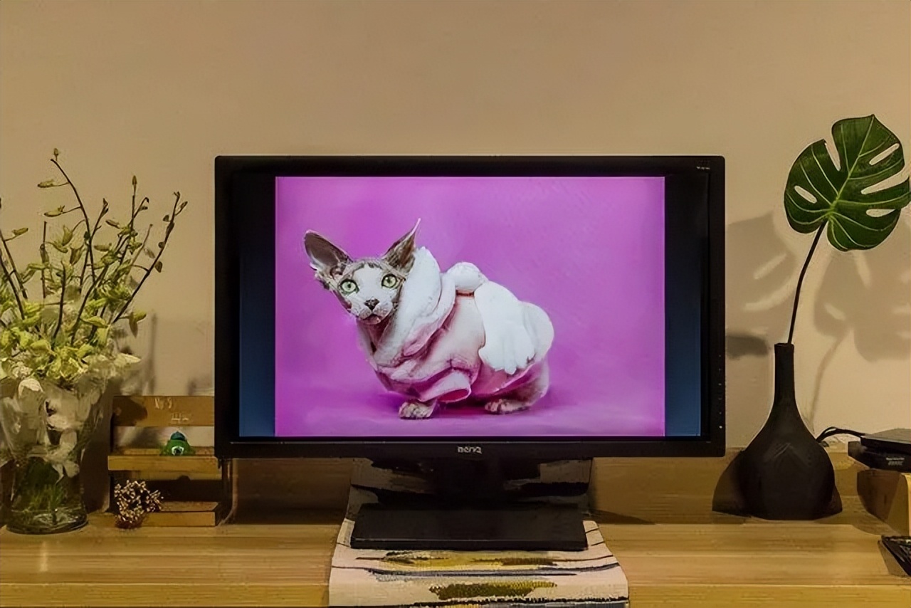 显示器选购指南及推荐,显示器选什么品牌的比较好