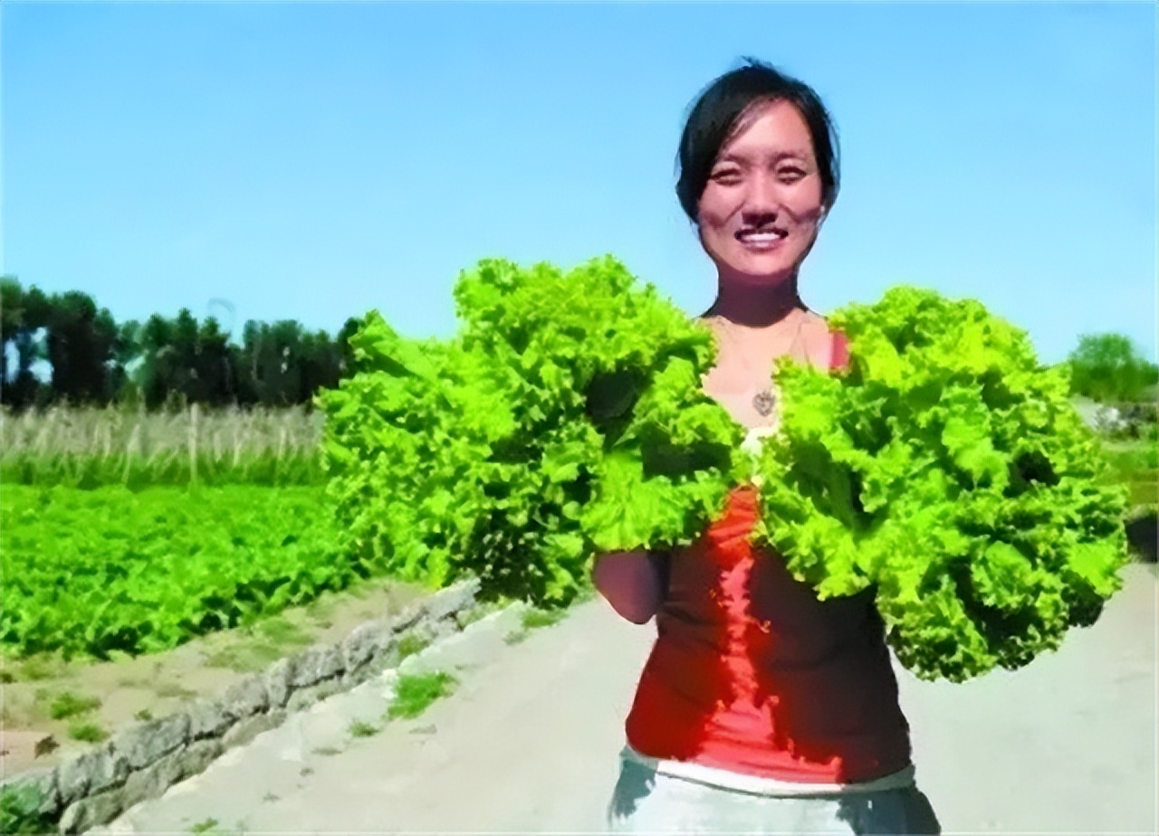 清华女博士放弃高薪工作,清华女生放弃百万年薪去乡村教书