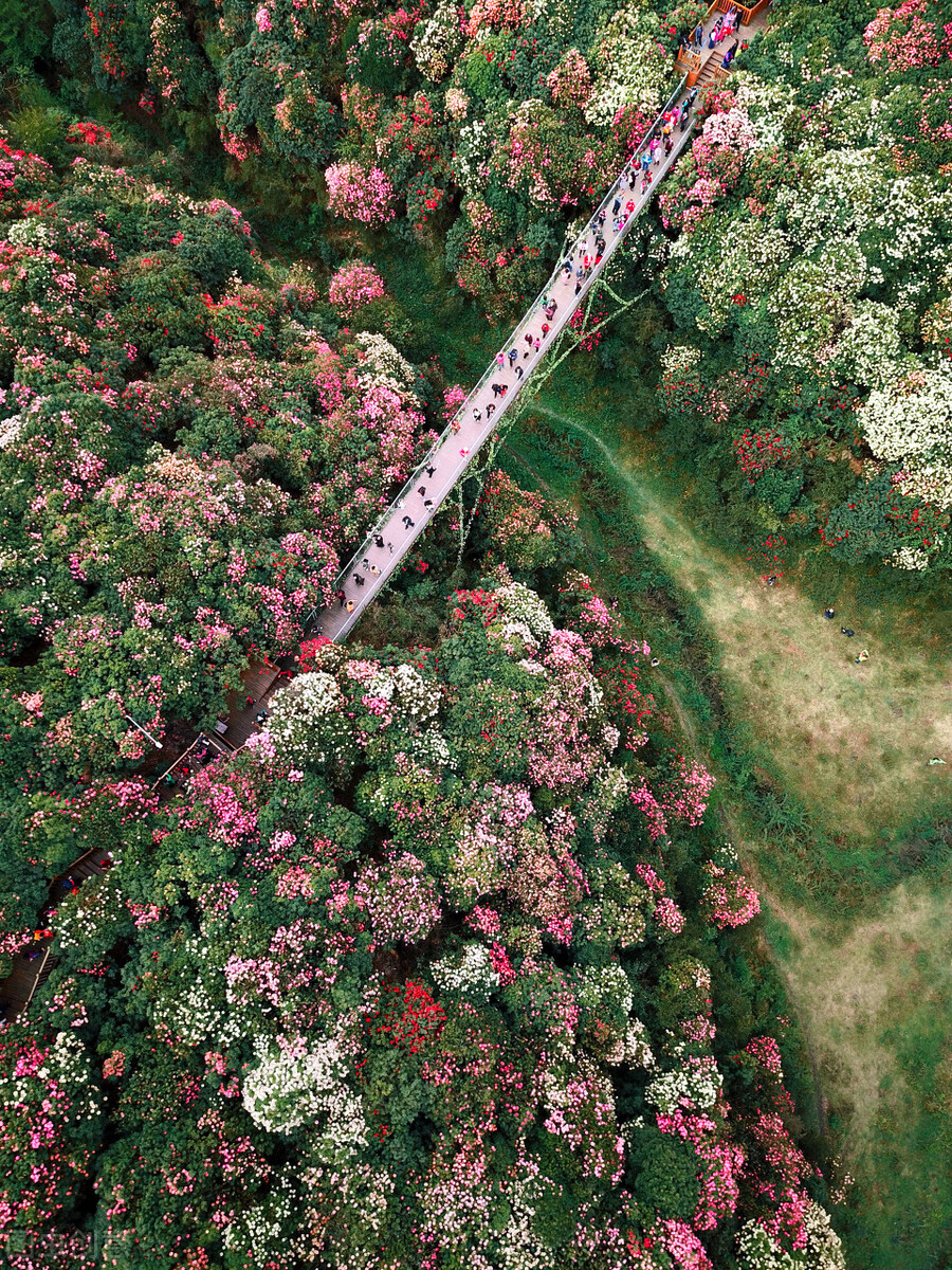 中国景观有多惊艳？这33个，去过一半，此生无憾，你去过哪几个？