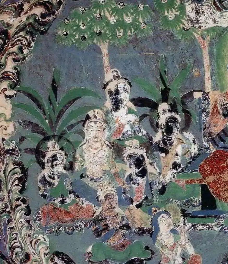 敦煌壁画里的植物有哪些,林草科普选题