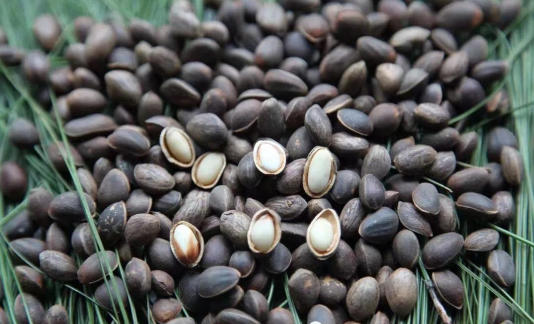 浼氫笢鍐ぉ,浼氫笢鍐姘旀俯