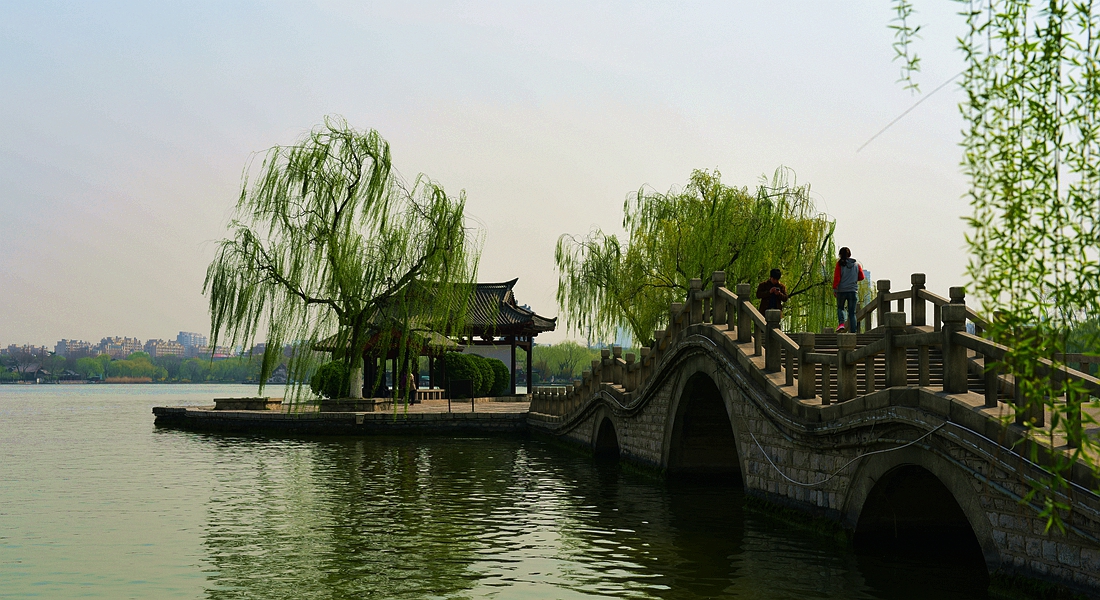 折柳寄情来自哪首古诗词,折柳寄深情