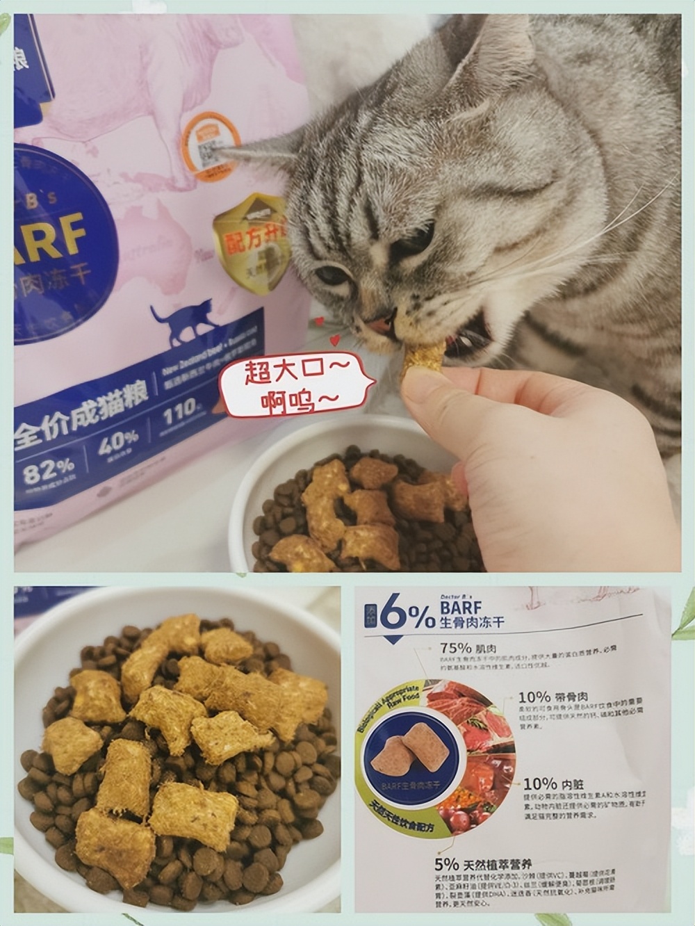猫咪为什么突然疯了一样的咬东西,猫咪总咬东西是什么原因