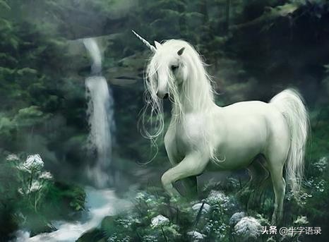 山海经异兽图片可爱版,山海经中105个异兽