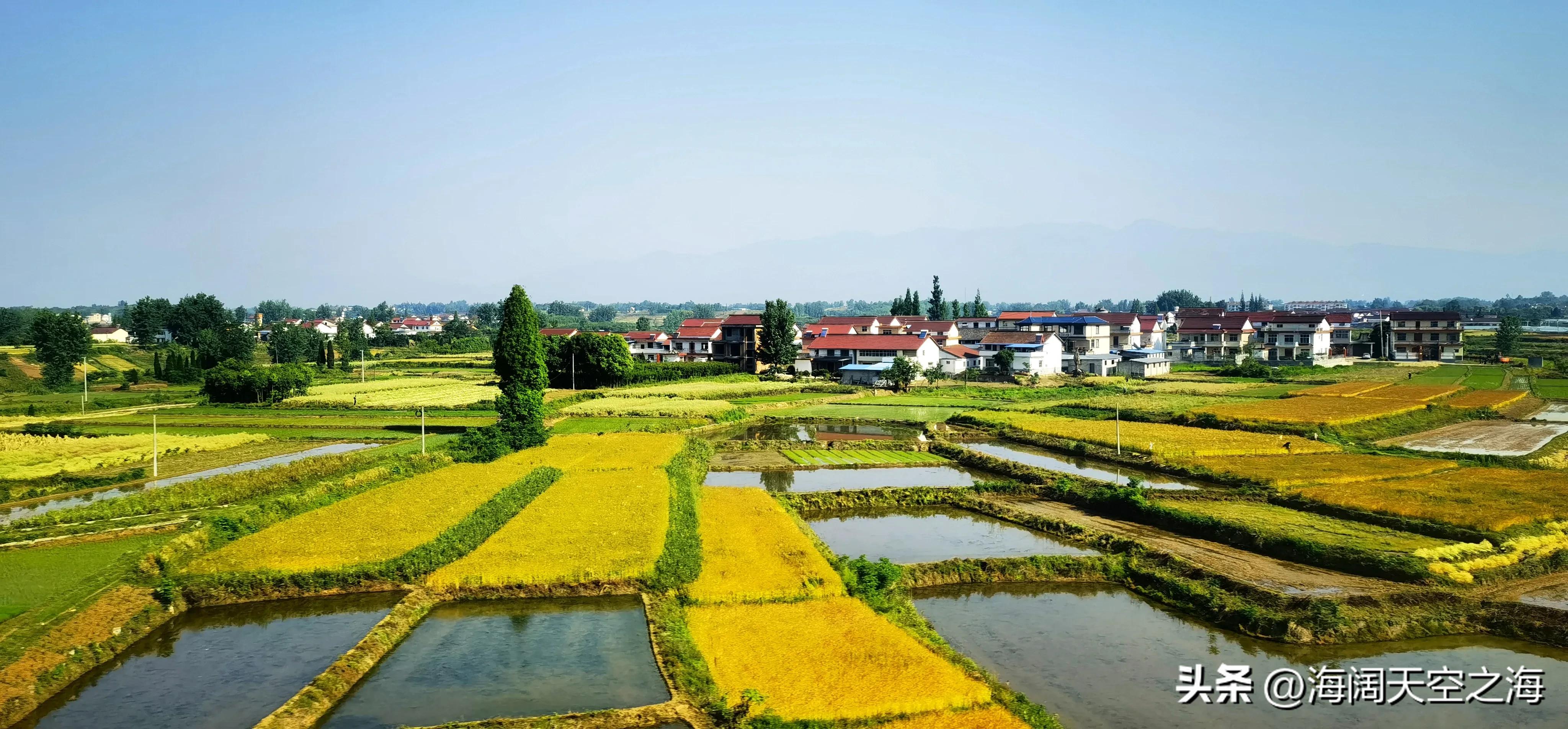 风吹麦浪完整版,风吹麦浪