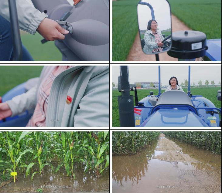 最优质的三农视频文案怎么写,三农视频热门文案素材