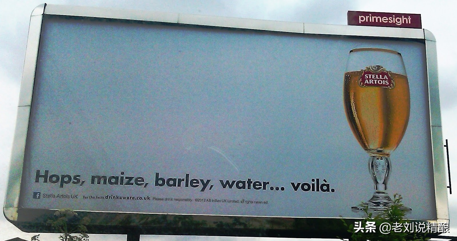 无大麦啤酒,没有啤酒花纯麦芽啤酒