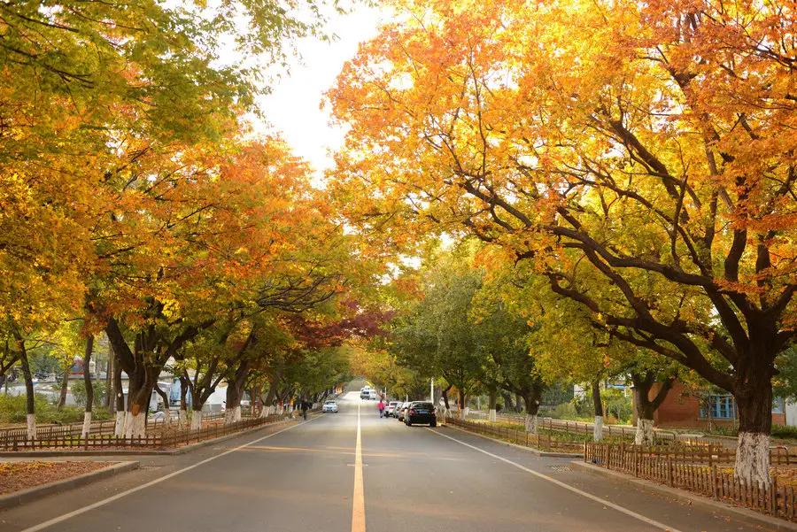 大连旅游攻略3天2夜住宿,大连旅游攻略视频