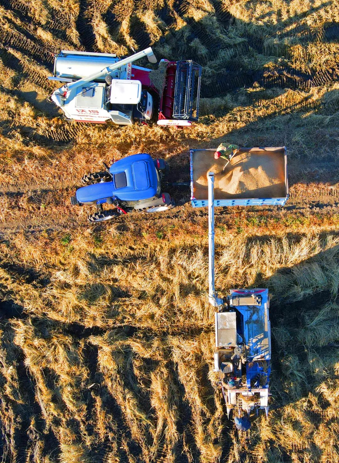 山地丘陵梯田的首选农机,农机怎么跑业务