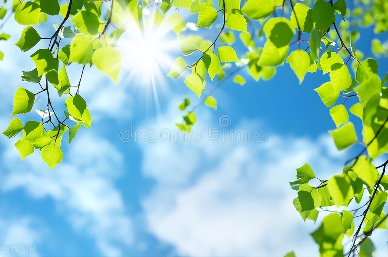 和春天干杯文案,和春天约会短句子