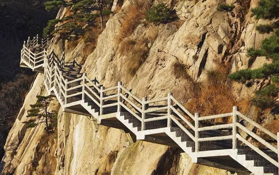 初中最难背的十首诗,高中最难背的几首诗