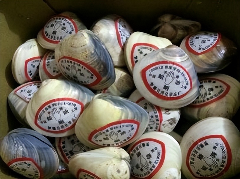 毛主席时代的十大名牌，太珍贵了，你用过几种？