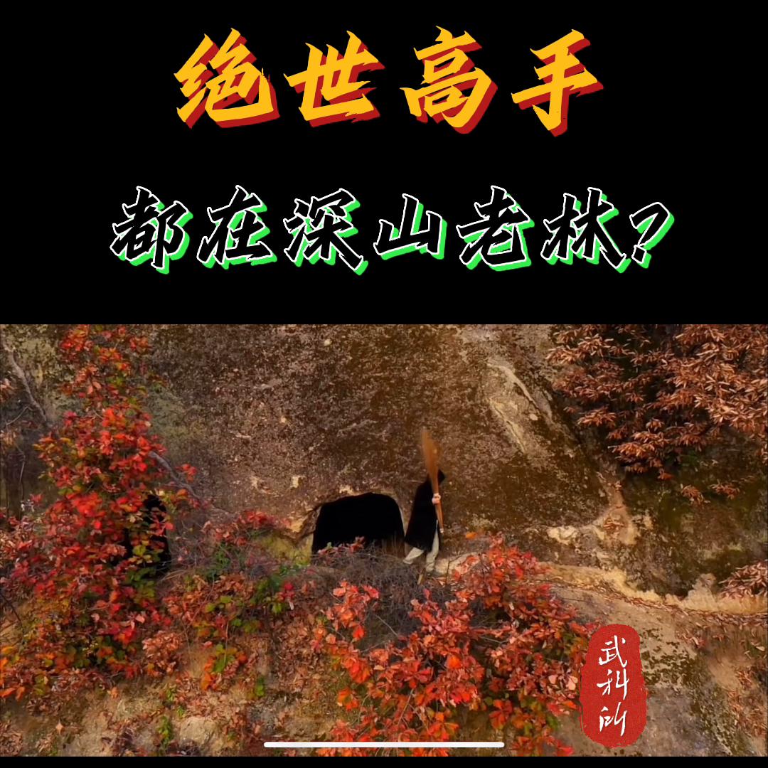 深山老林的高手,深山老林高手