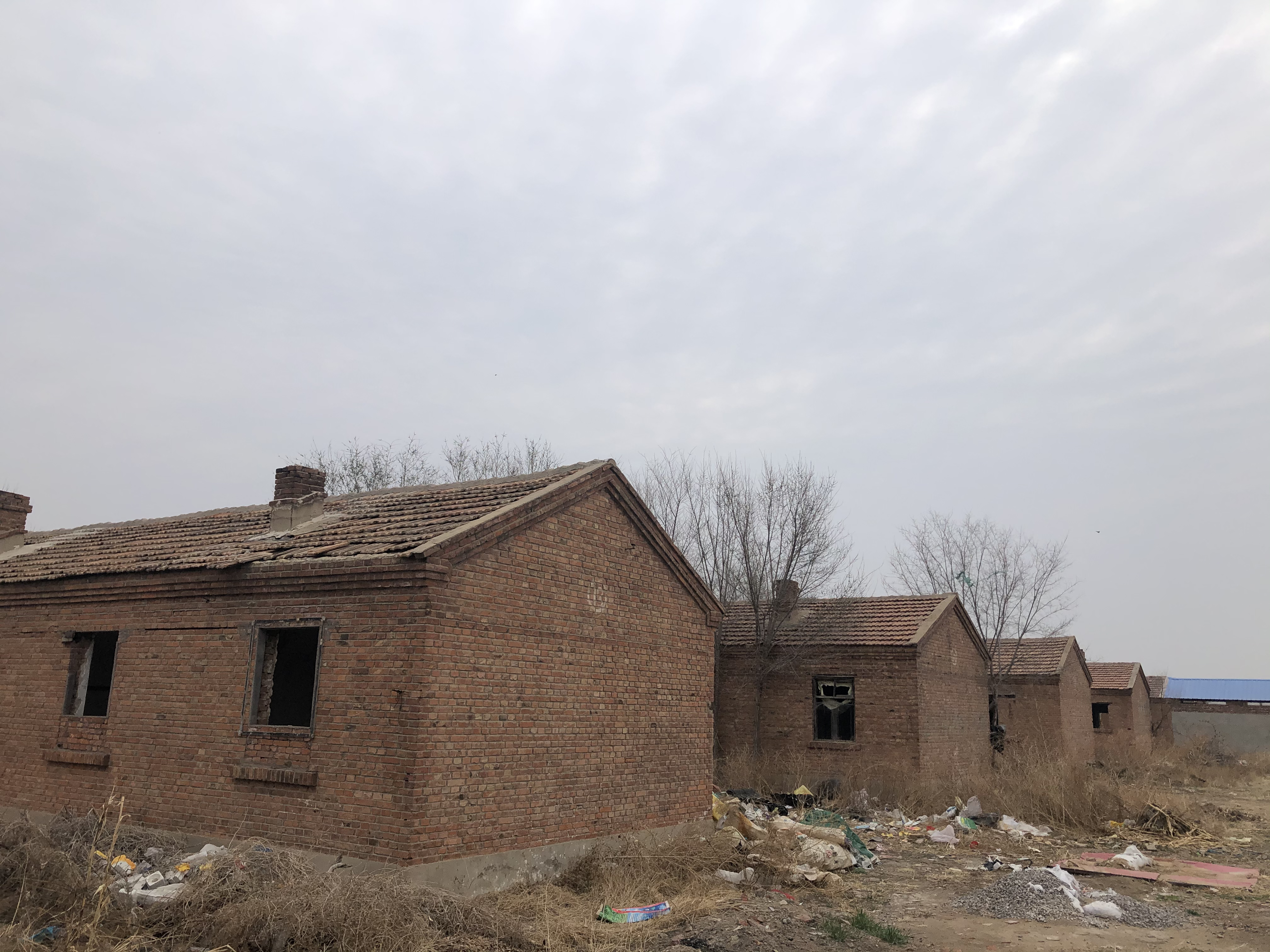 团泊洼,曾经有过一批中国顶级文艺球迷