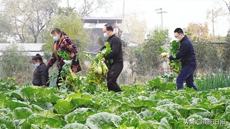 助农增收农产品进货渠道,农产品助销渠道