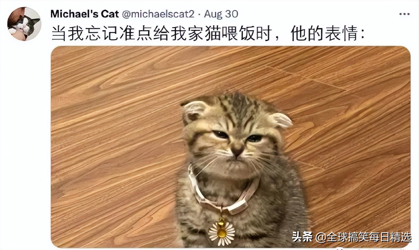 神回复：这是室友煮的汤看着像巫婆汤，千万别喝，你没王子来亲吻