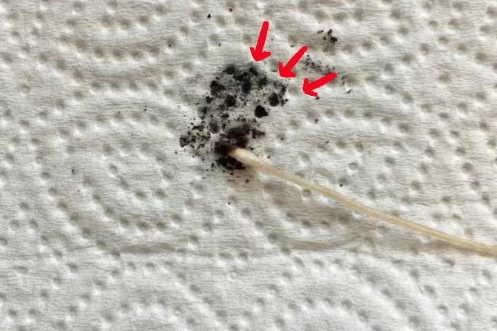 315假粉条,315打假红薯粉条真实场面