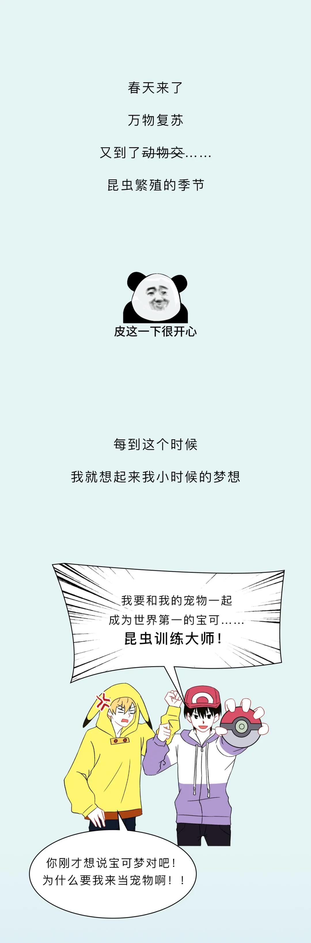 最近看到这些虫子，不要随便拍，建议提前了解（漫画讲解）