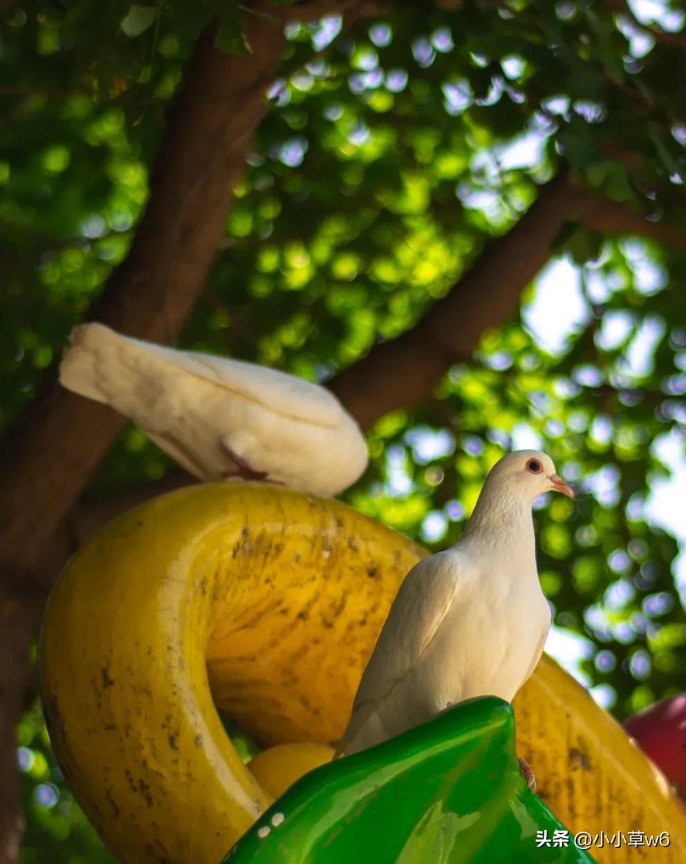 人生不只有高考的路,人生不只有高考的句子