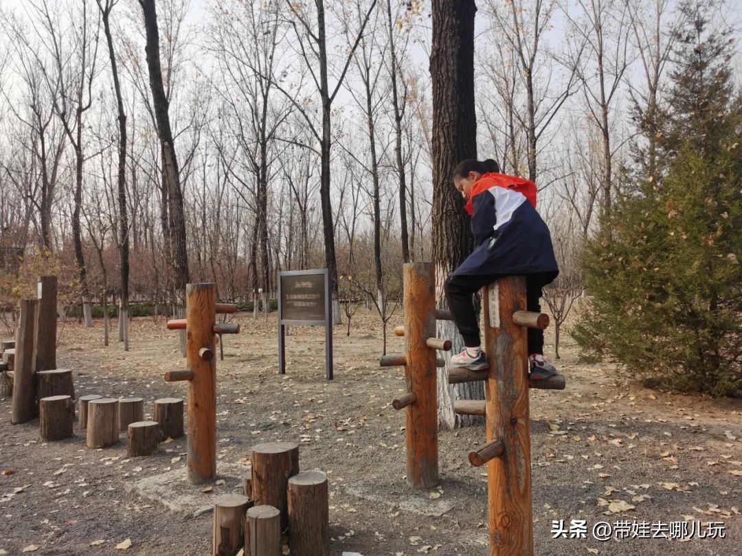 骑行国家森林公园,徒步骑行森林公园