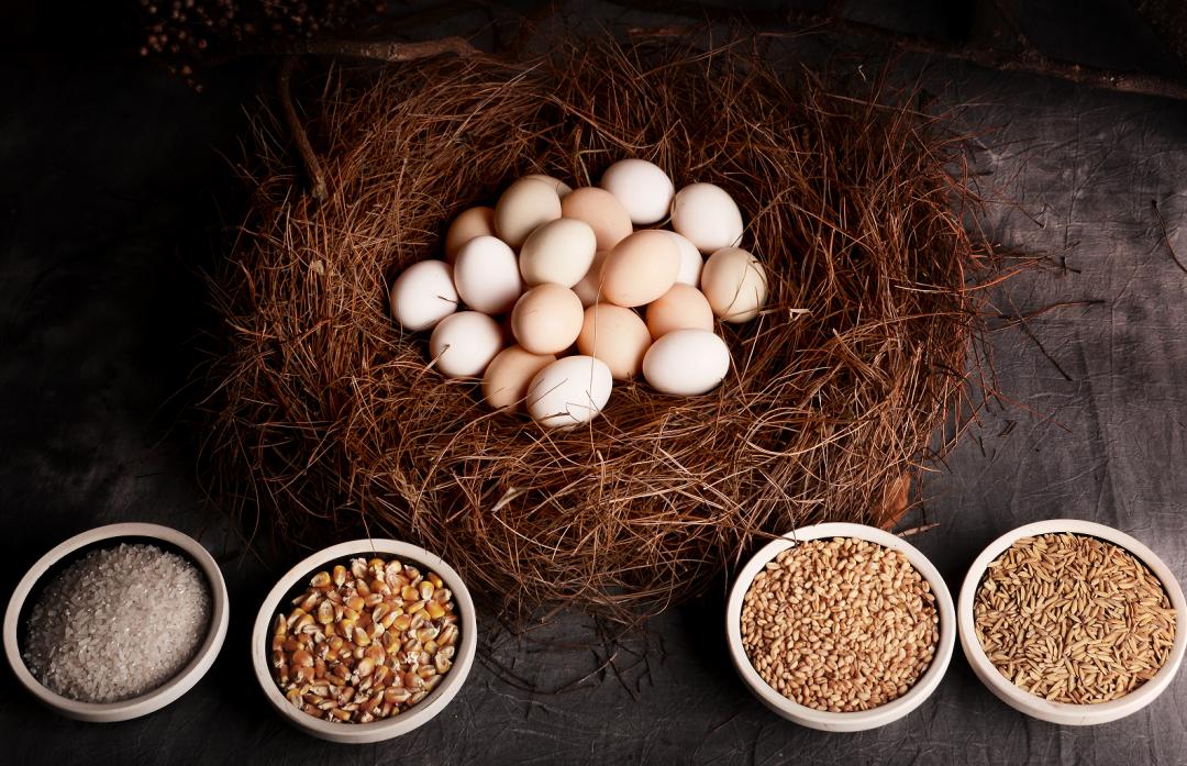 哪些鸡蛋最好吃,什么样的鸡蛋可以吃