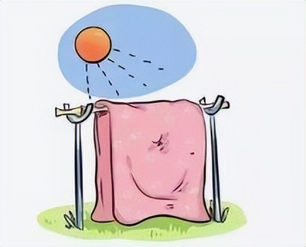 家里有床虱怎么彻底清除,如果被臭虫床虱咬了怎么办