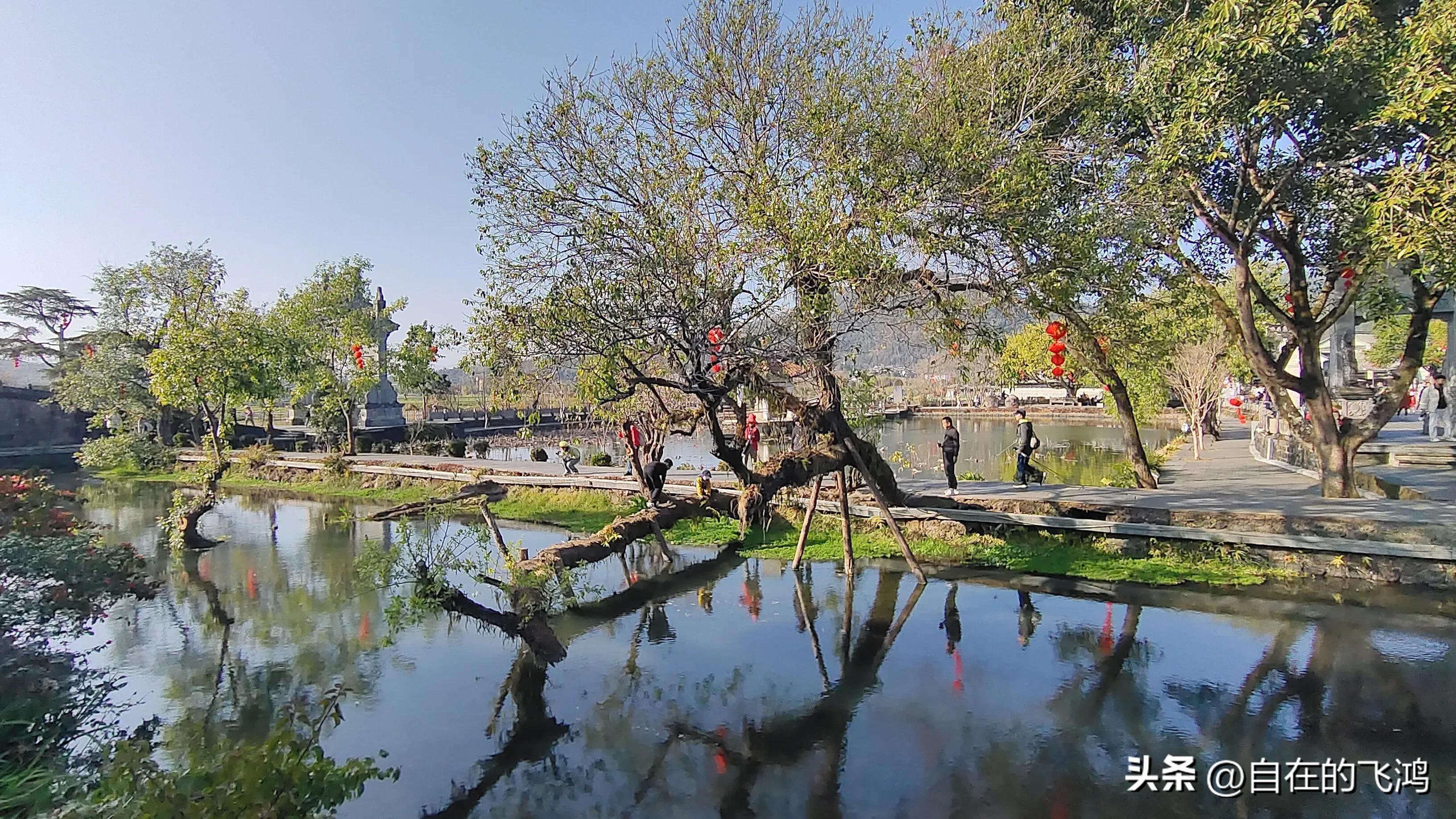 腾冲和顺古镇和大龙井古镇哪个好,腾冲和顺古镇旅游体验质量现状
