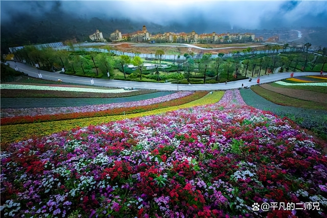 福建漳州土楼旅游攻略三天,福建土楼东山岛旅游攻略