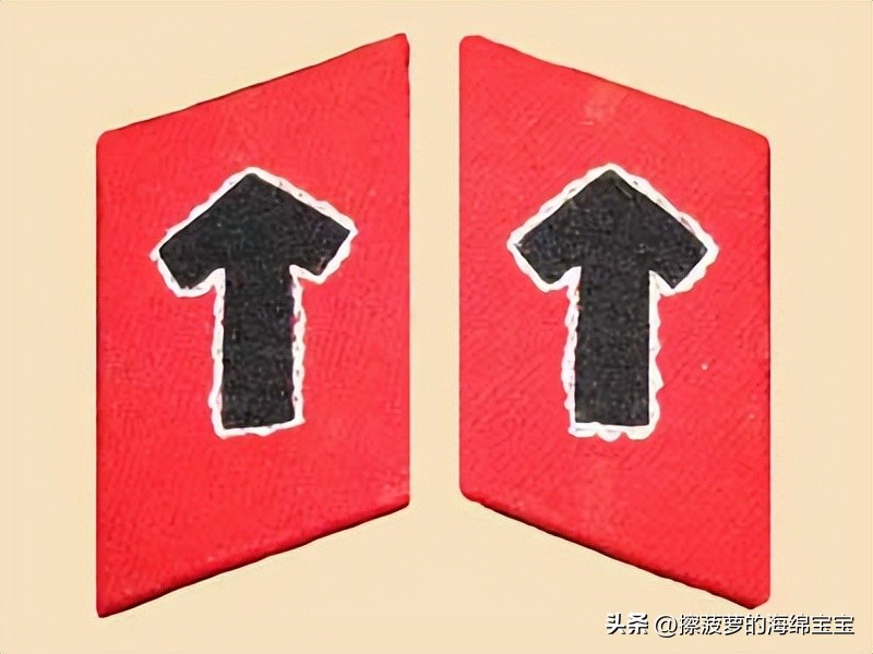 纳粹冲锋队用的什么枪,纳粹德军军衔图解