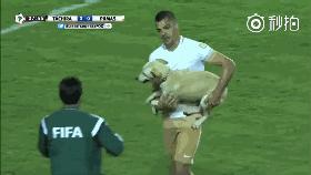 小狗进足球场扑球,狗子闯进足球场带球过人成功射门