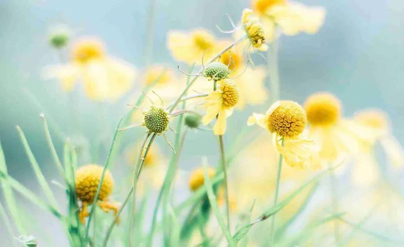 为了让儿子生孩子这婆婆也是拼了,为了生二胎婆婆给我买个小院