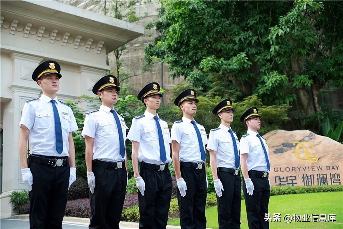 免费公司管理制度大全完整版,公司管理制度全套简洁版