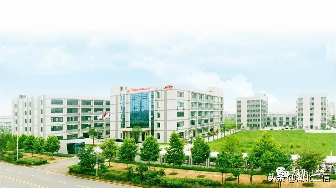 专精特新小巨人企业武汉,湖北省专精特新小巨人企业名单