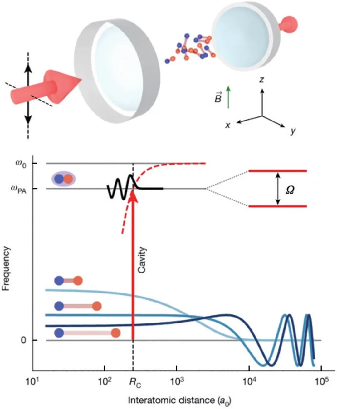 量子光学、太赫兹......2021年光学热点回眸（下）|回眸