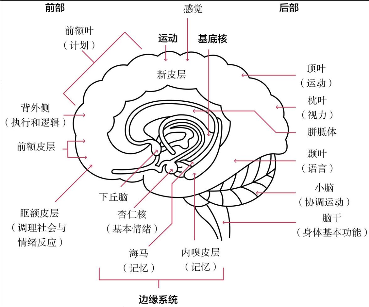 瑞达利欧的原则,瑞达利欧五原则图