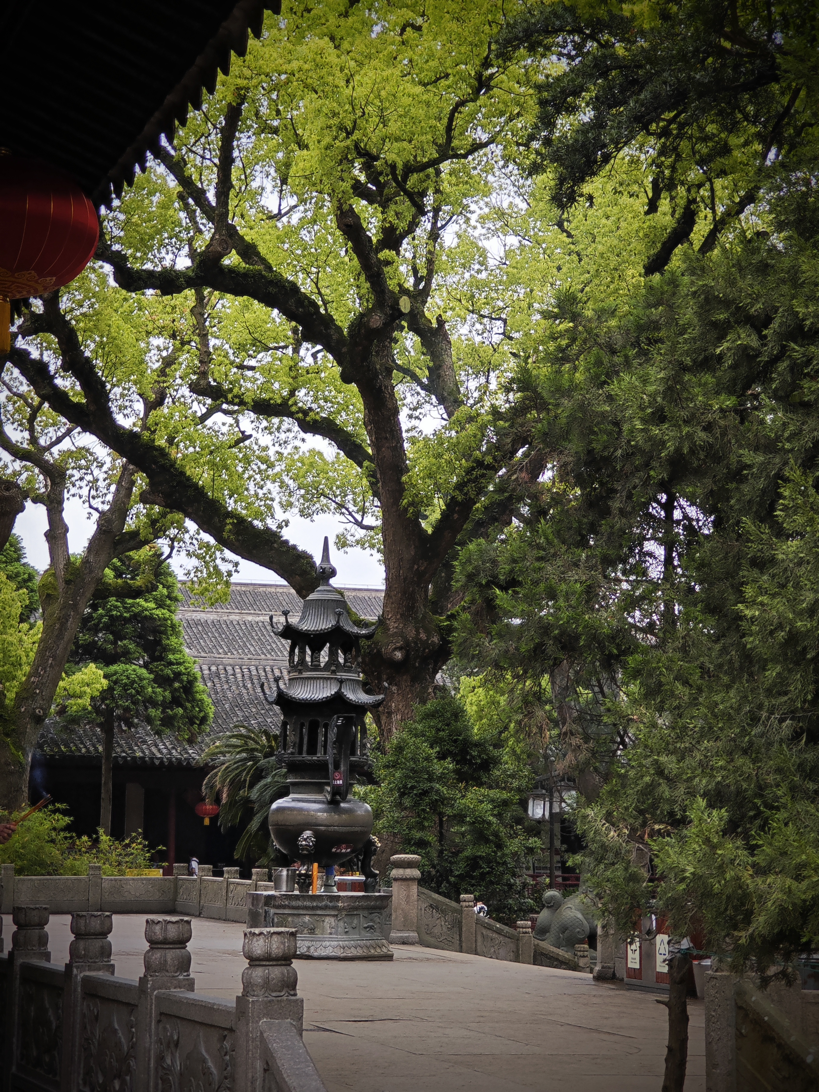 第三年到普陀山祈福之旅圆满,普陀山祈福二日杭州出发跟团游