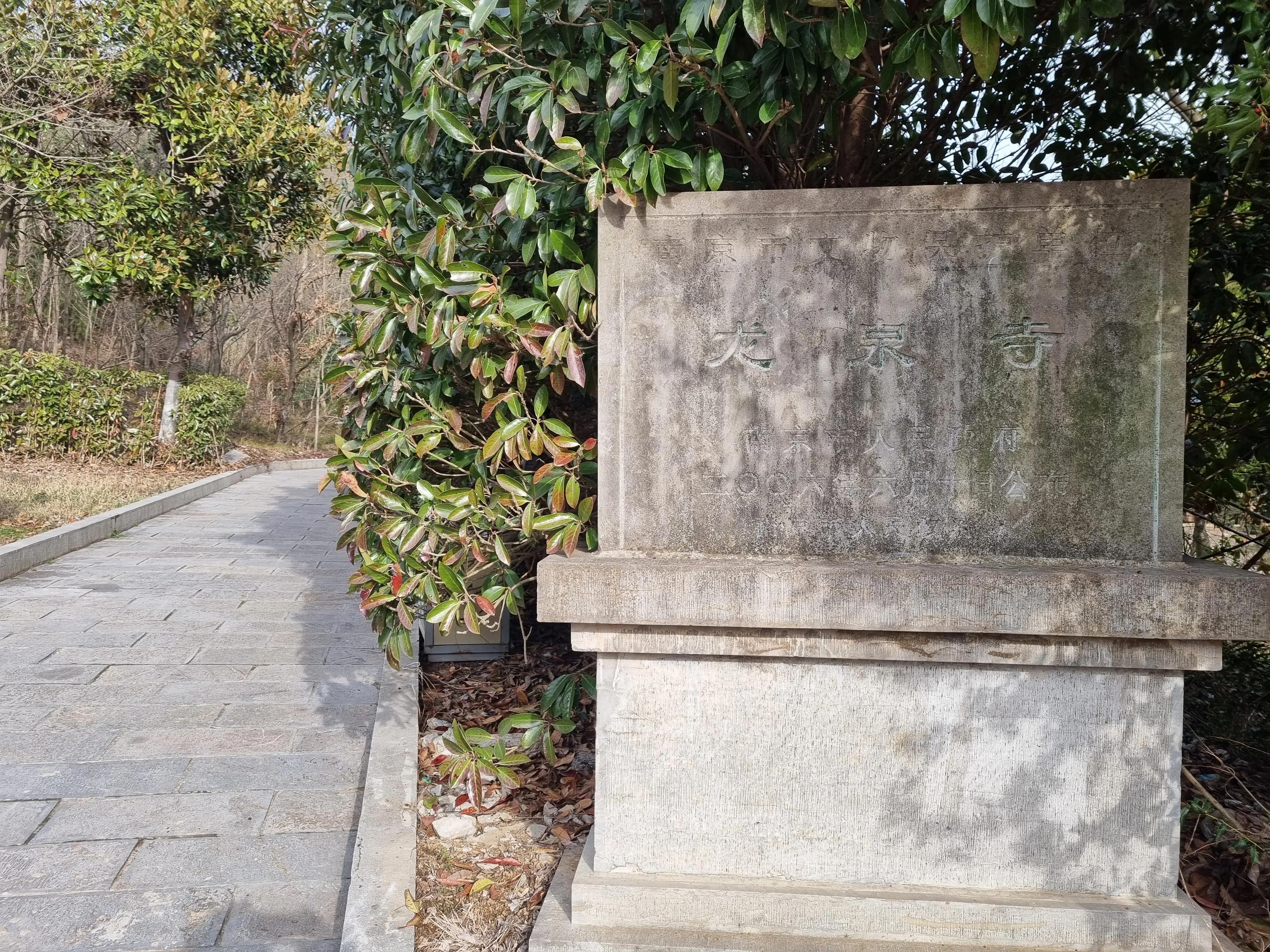 南京龙泉寺。寺里有一棵唐朝的腊梅树。